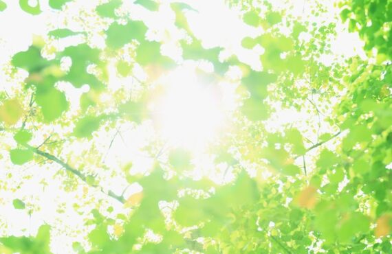 元気酵素風呂で体温を上げて免疫力を上げて癌治療をしよう！